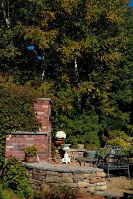 IMG_9356.jpg
