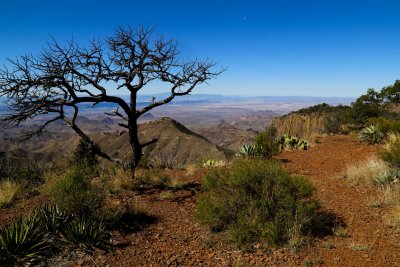 South Rim