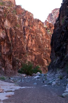 Closed Canyon