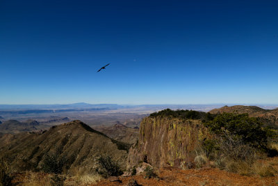 South Rim