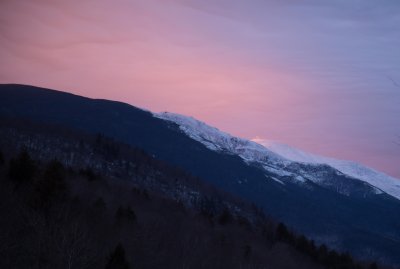 IMG_1697.jpg