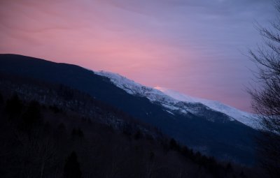 IMG_1698.jpg