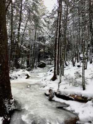 Hiking trail covered with ice