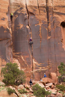 Needles District