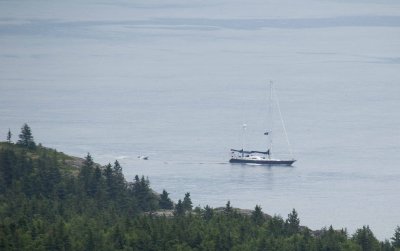 IMG_5440.jpg