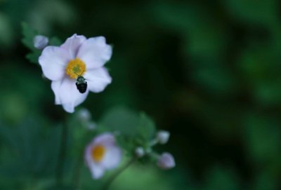 IMG_6180.jpg