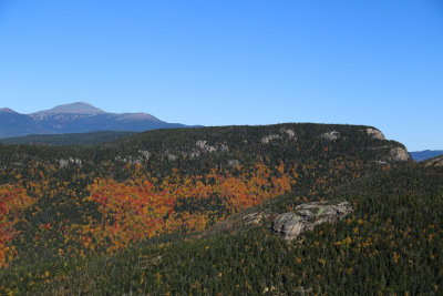 IMG_8445.jpg