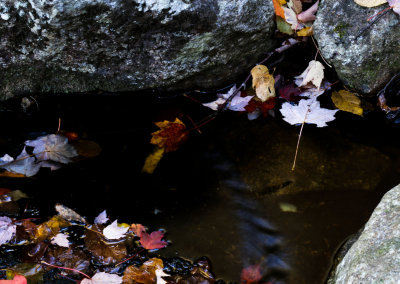 IMG_8672.jpg