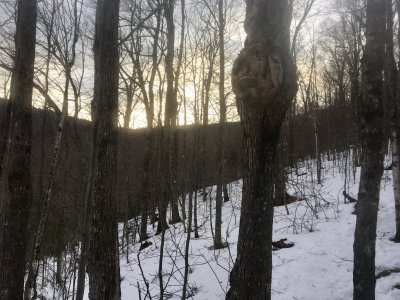 IMG_1382.JPG