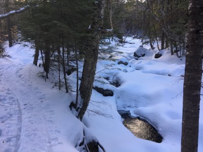 Nineteen Mile Brook Trail