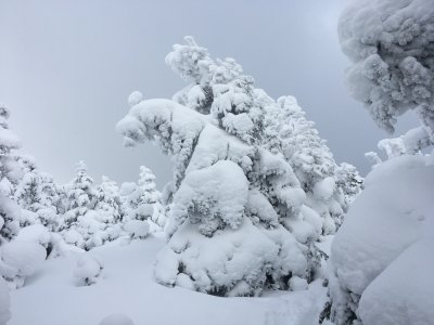 IMG_1670.JPG