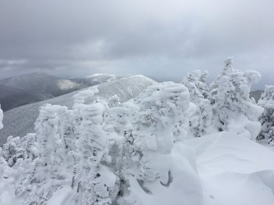 IMG_1675.JPG