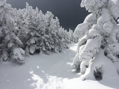 IMG_1680.JPG