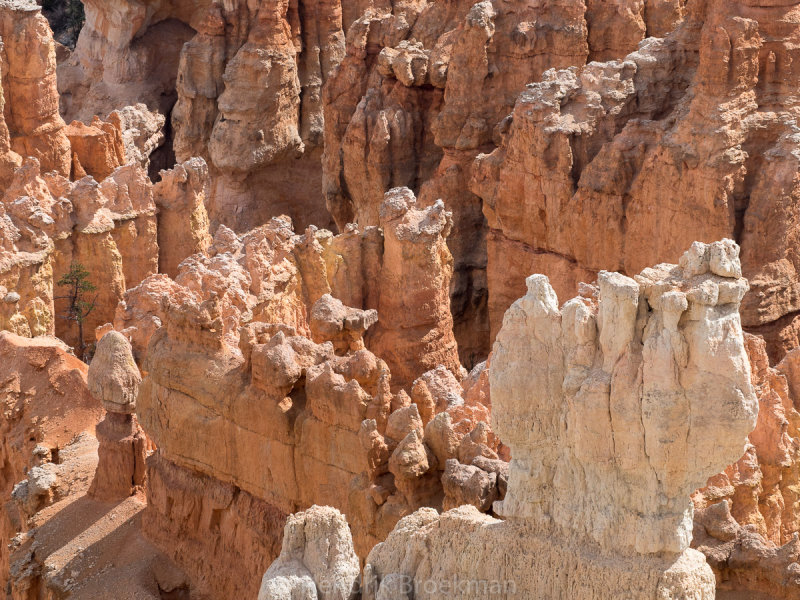 Bryce Canyon