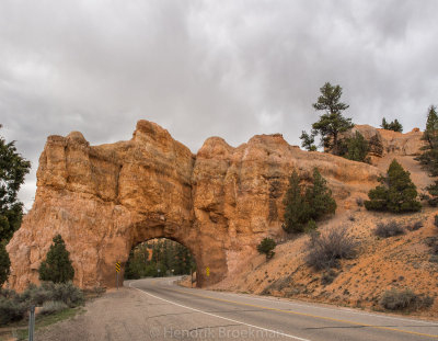 Red Canyon