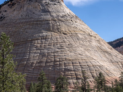 Checkerboard Mesa