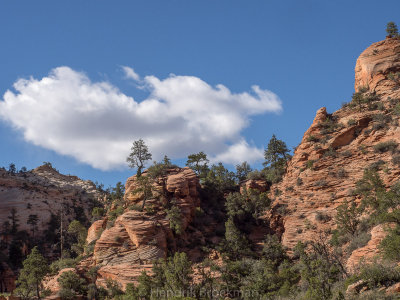 Checkerboard Mesa