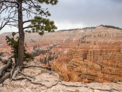Bryce Canyon