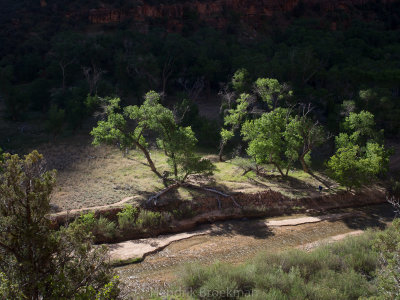 Around Zion