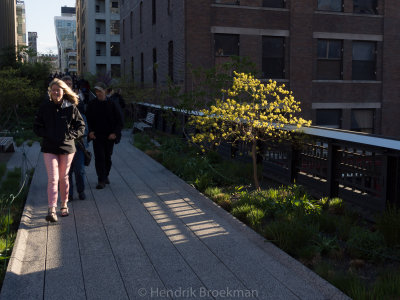 Spring on the High Line