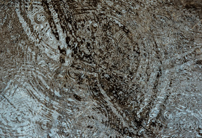 Ripples