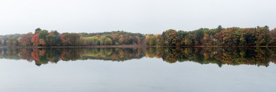 Panoramas