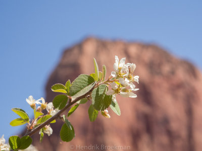 Kolob Canyon