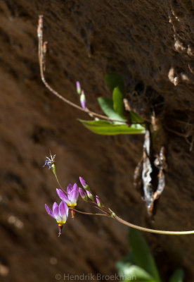 Hanging On