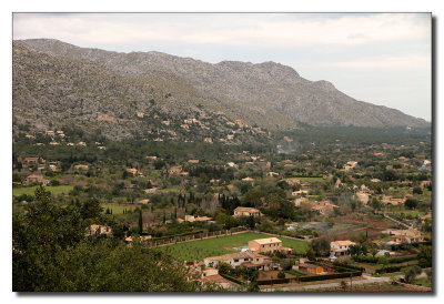 Pollenca