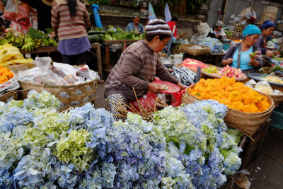 Flower petals for ritual offerings, Denpasar