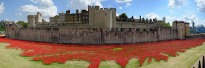 WW1 commemoration poppies at Tower of London, August 2014