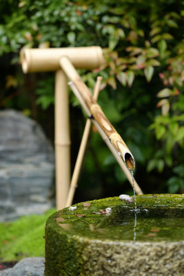 Kyoto Garden (Holland Park), May 2016