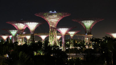 Supertrees at night, Gardens by the bay