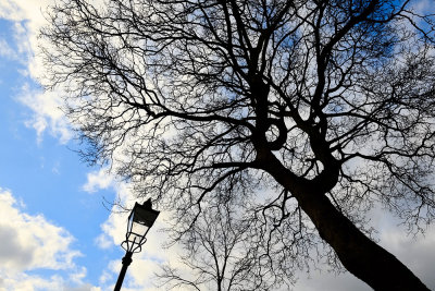 Chalcot Square, March 2016