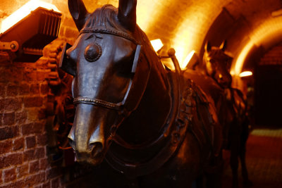 Stables Market, August 2016