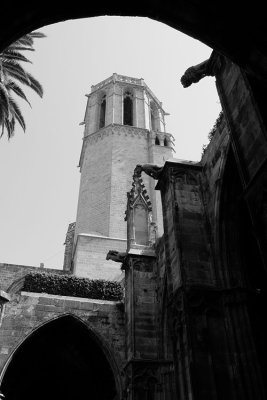 Catedral