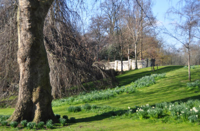 Spring is here at last