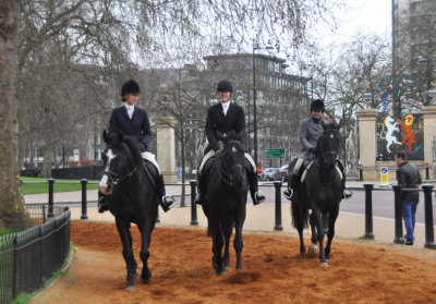 Riding Hyde Park in morning
