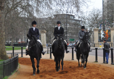 Morning ride Hyde Park London