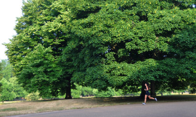 Jogging past Kensington Palace