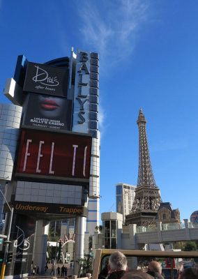 Paris in Las Vegas.jpg