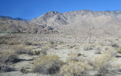 Wild desert just one mile from town