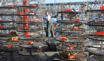 Lobster pots for next sailing