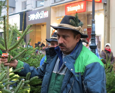 Christmas tree salesman in Graben