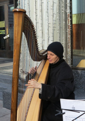 Soothing harp in busy Kohlmarkt
