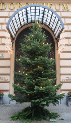 Surely the perfect tree at Dorotheum