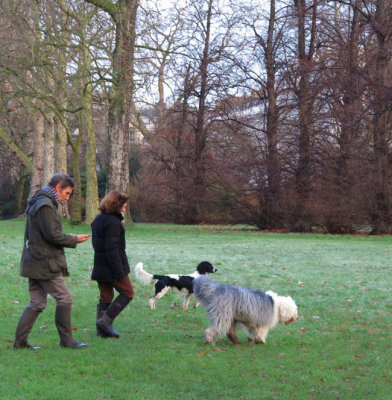 Dogs and wellies on Sunday walk