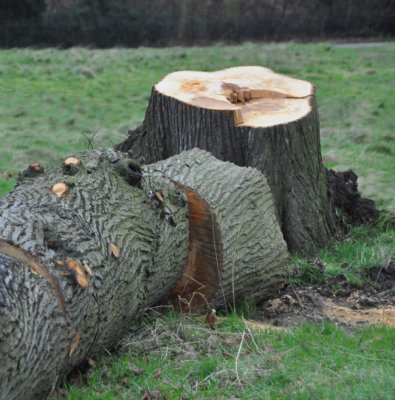 Victim of January 2014 storms