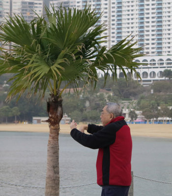 Tai Chi start to day Repulse Bay