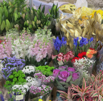 Flowers near Campo S Stefano